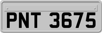 PNT3675