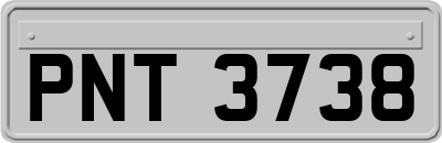 PNT3738