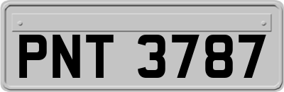 PNT3787