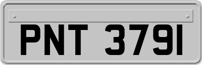 PNT3791