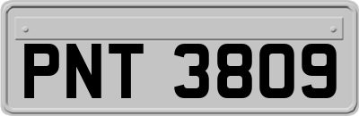 PNT3809