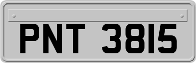 PNT3815