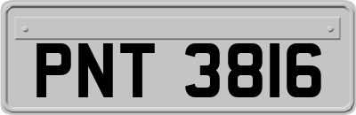 PNT3816