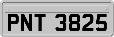 PNT3825