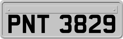 PNT3829