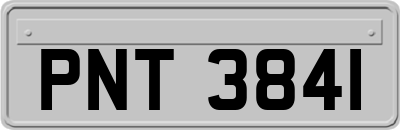 PNT3841