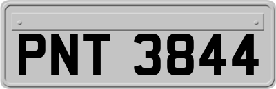 PNT3844