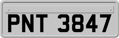 PNT3847