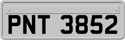 PNT3852
