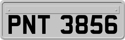 PNT3856