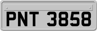 PNT3858