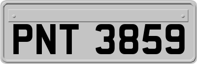 PNT3859
