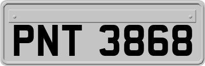 PNT3868