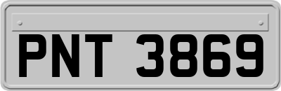 PNT3869