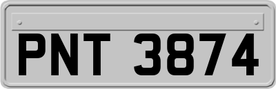 PNT3874