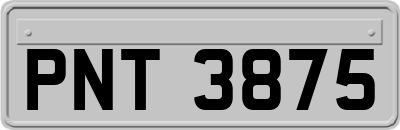 PNT3875