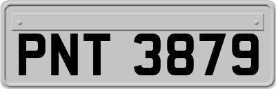 PNT3879