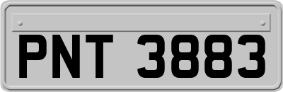 PNT3883