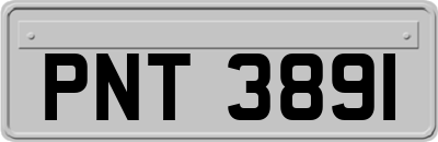 PNT3891