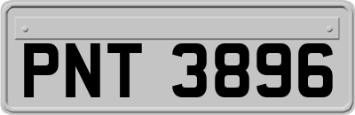 PNT3896
