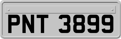 PNT3899