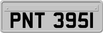 PNT3951