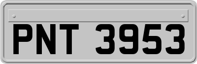 PNT3953