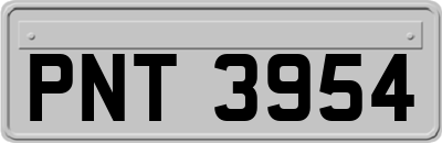 PNT3954