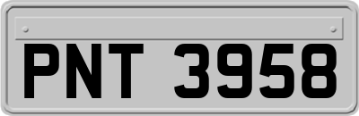 PNT3958