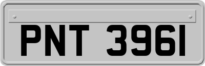 PNT3961