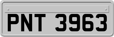 PNT3963