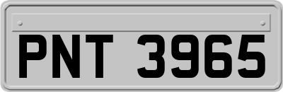 PNT3965