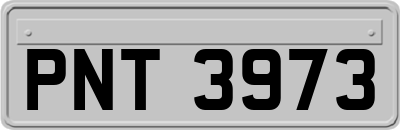 PNT3973