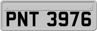 PNT3976