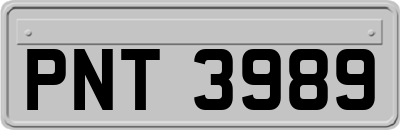 PNT3989