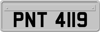 PNT4119