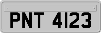 PNT4123