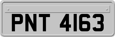 PNT4163