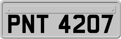 PNT4207