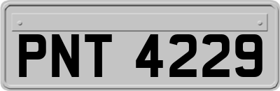PNT4229