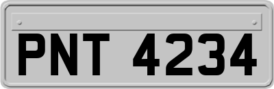 PNT4234