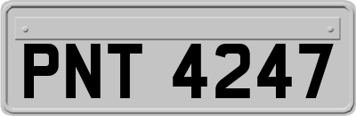 PNT4247