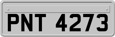PNT4273