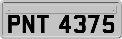 PNT4375