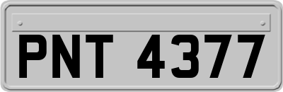 PNT4377