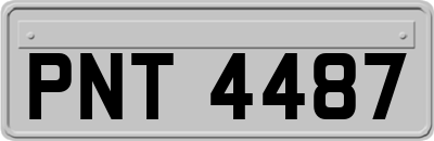 PNT4487