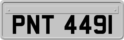 PNT4491