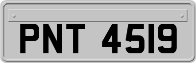 PNT4519