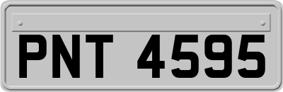 PNT4595