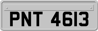 PNT4613